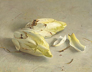 Chicory from Helmantel - Lyklema Fine Art