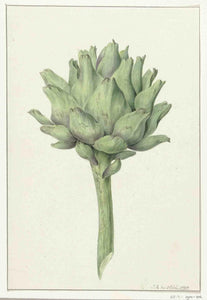 Gevulde Artisjok van Jean Bernard - Lyklema Fine Art