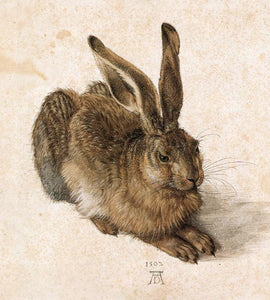 De Haas van Dürer - Lyklema Fine Art