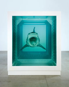 Shark Fin van Hirst - Lyklema Fine Art