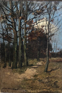 Xeno Münninghoff, Forest landscape - Lyklema Fine Art